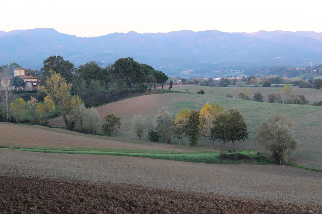 Intorno Firenze B&B San Piero a Sieve Eksteriør bilde
